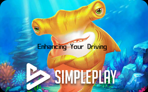 Enhancing Your Driving Experience with Innovative Technology